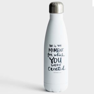 Dayspring Stainless Steel Water Bottle 17 oz NIB